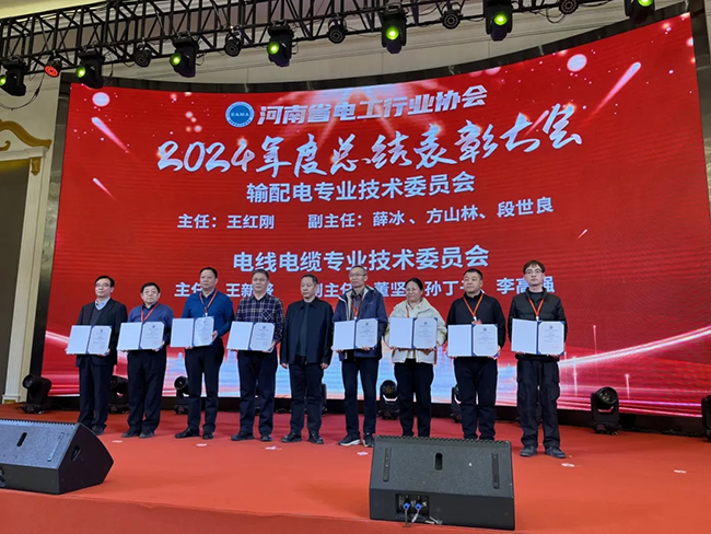 索凌電氣榮獲河南省電工行業(yè)雙優(yōu)稱(chēng)號(hào)， 持續(xù)助力電力行業(yè)發(fā)展